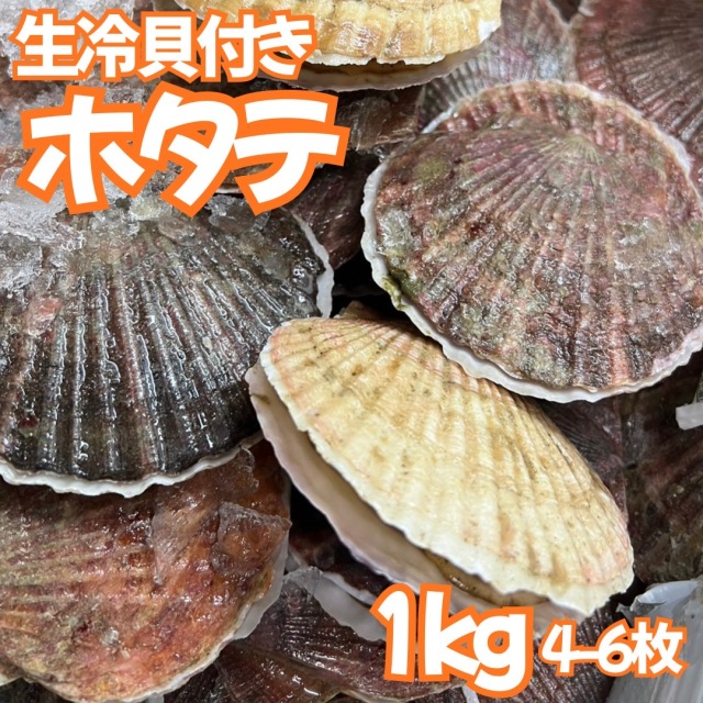 【業務用】生冷凍 貝付きホタテ 1kg（4～6枚程度）