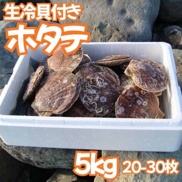 【業務用】生冷凍 貝付きホタテ 5kg（20～30枚程度）