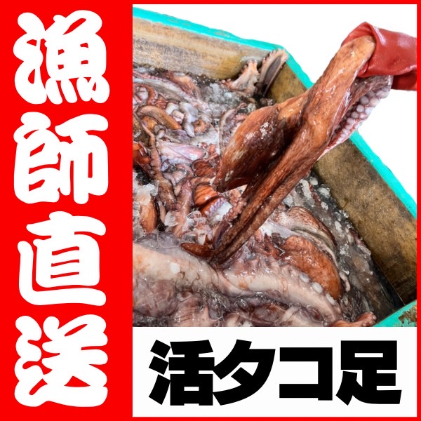 【業務用】生冷凍タコ足 3kg ｜1kg￥2,763