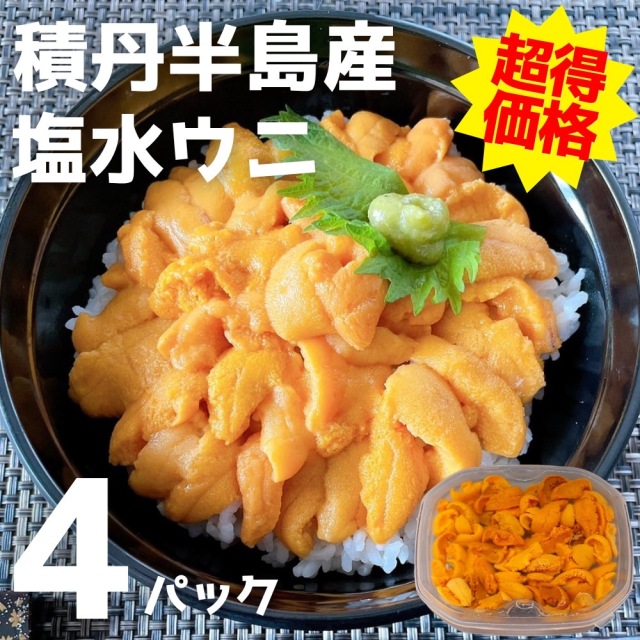 訳あり 塩水うに (白) 4個セット (100g×4) 北海道 積丹半島産 【山森漁業部】2026年度 ムラサキウニ