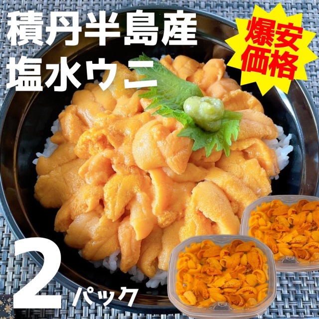 訳あり 塩水うに (白) 2個セット (100g×2) 北海道 積丹半島産 【山森漁業部】2026年度 ムラサキウニ