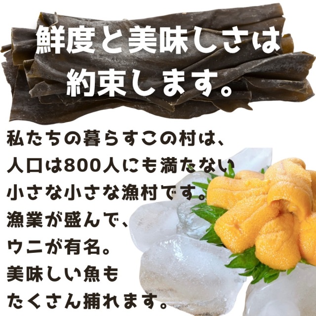 訳あり 塩水うに (白) 2個セット (100g×2) 北海道 積丹半島産 【山森