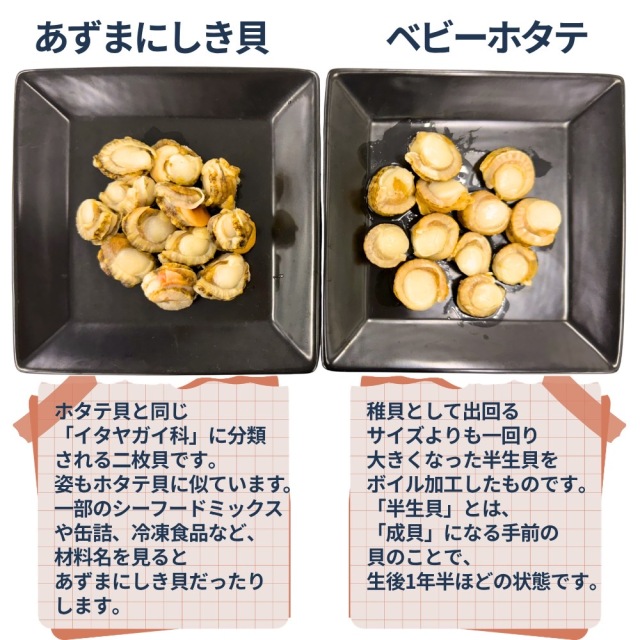 業務用】アズマニシキ貝 10kg ベビーホタテの代替品にオススメ☆