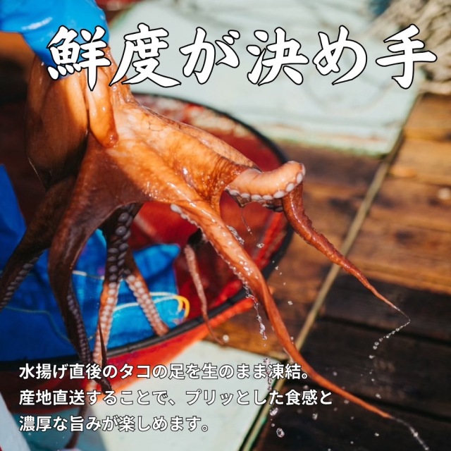 業務用】生タコ足 1kg 北海道産 水タコ