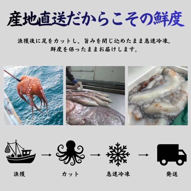 業務用】生タコ足 1kg 北海道産 水タコ