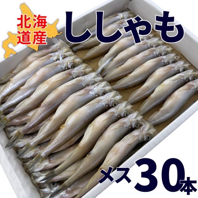 【業務用】北海道産ししゃも (メス) 1箱30尾 ｜1尾￥212
