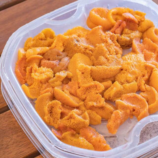【業務用】塩水うに　100g (れいぞう発送)