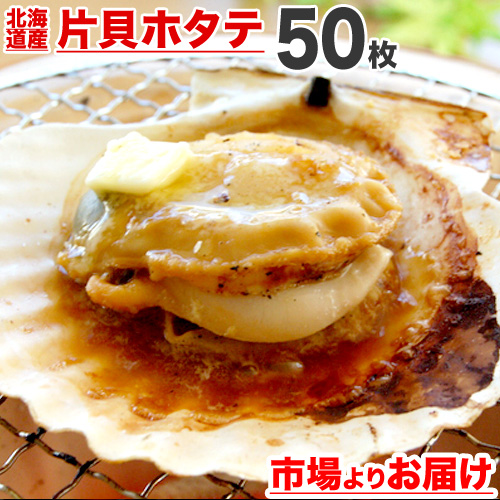 片貝ホタテ 50枚 (9-10cm)