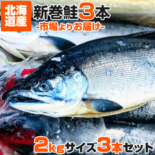 ランキング１位受賞！新巻鮭 姿 3本セット【送料無料】 お中元