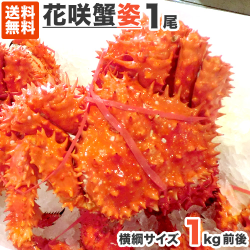 特大 花咲ガニ 1kg前後