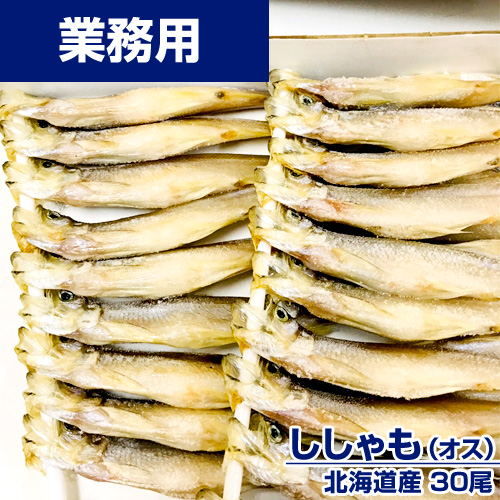 【業務用】北海道産ししゃも (オス) 1箱30尾 ｜1尾￥225