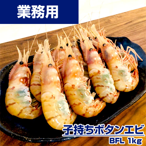 【業務用】ボタンエビ 1kg