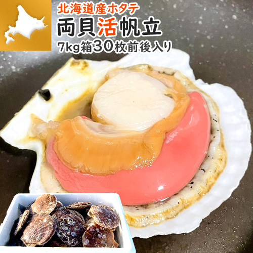 活ホタテ 7kg 30枚前後 ｜ 生ホタテ 帆立 ほたて