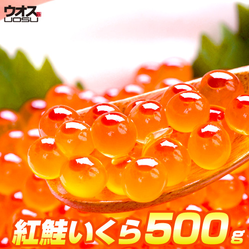 最安値挑戦！ 紅鮭 いくら醤油漬け 500g イクラの粒は小さいけど味は抜群！