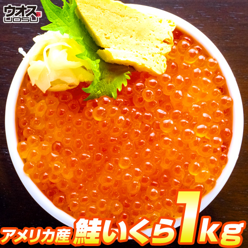 チャム いくら醤油漬け 1kg (500g×2パック) 食べ応え抜群！