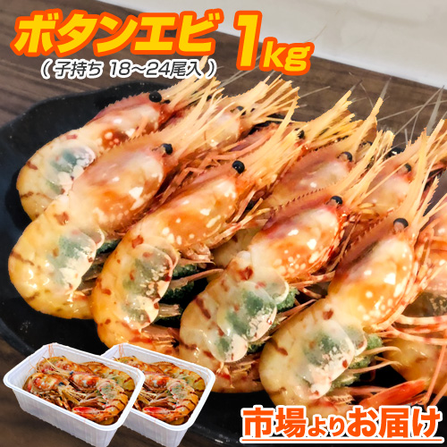 子持ちボタンエビ 1kg 18-24尾前後