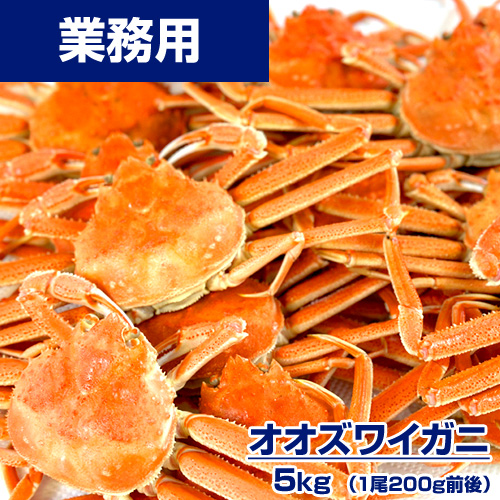 【業務用】生冷凍 オオズワイガニ 5kg 1尾200g前後 ｜ 1kg ￥436