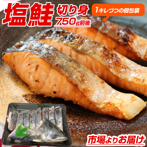 塩鮭 切身 8～10枚 (750g前後) 送料0円 贈答品にもオススメ！