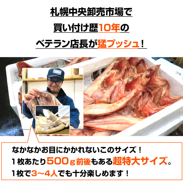 きんき まとめ売り 業務用】特大きんき開き 1枚 400g前後