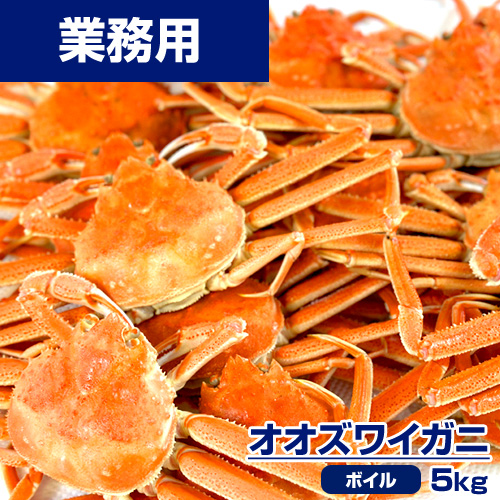 【業務用】ボイル オオズワイガニ 5kg