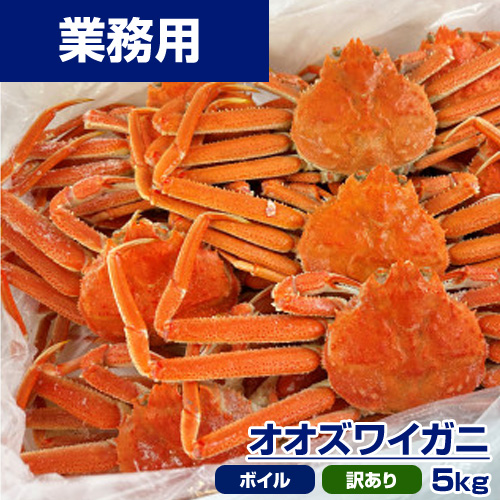 【業務用】ボイル 訳ありオオズワイガニ 5kg