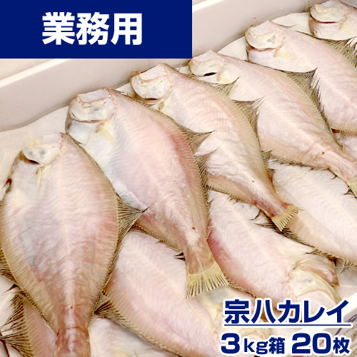【業務用】宗八カレイ 3kg20枚前後