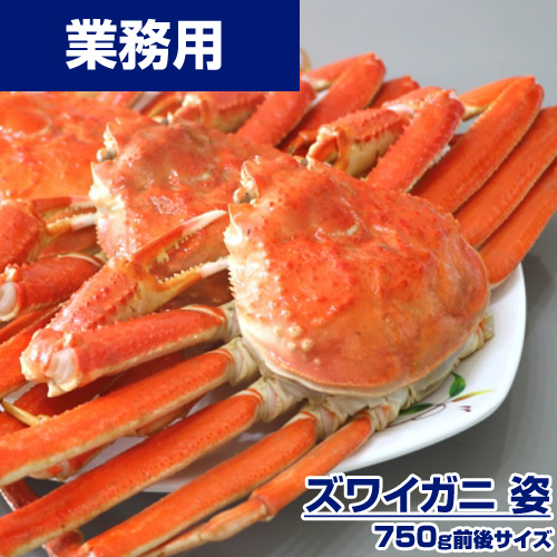 【業務用】特大 オオズワイガニ姿 1杯 800g前後