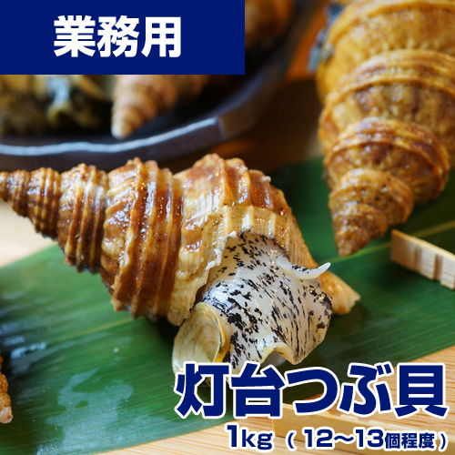 【業務用】生冷凍 灯台つぶ貝 1kg