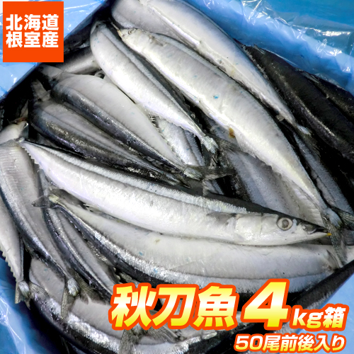 【根室直送】新鮮サンマ 4kg 40尾前後 秋刀魚 生冷凍