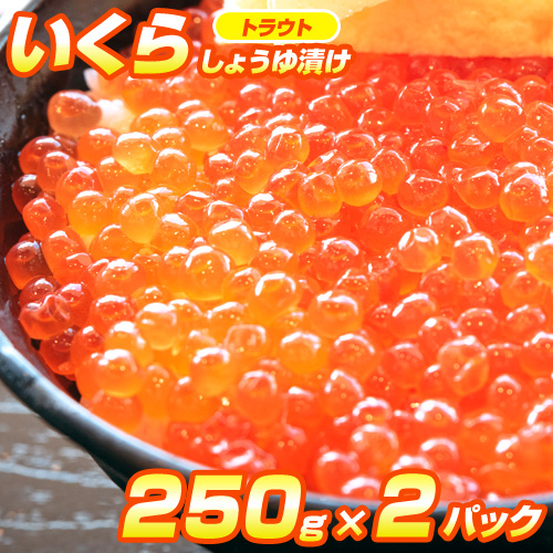 トラウト いくら醤油漬け 500g　粒はちっちゃいけど！味は一級品