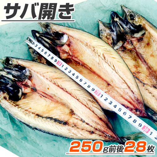 サバ開き 28枚