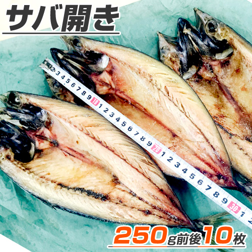 サバ開き 10枚