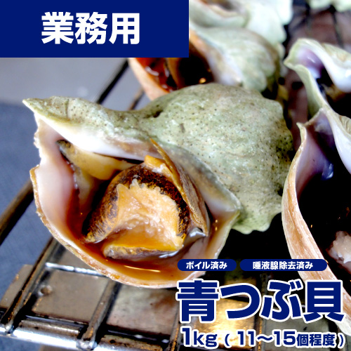 【業務用】ボイル 青つぶ貝 1kg (12個前後)