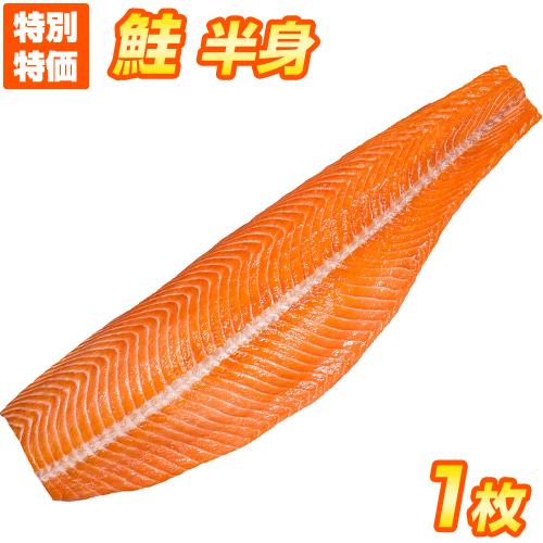 【業務用】秋鮭フィレ 1枚500g前後　≪おひとり様1個まで≫