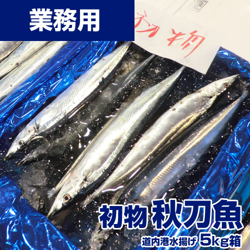 【業務用】新鮮サンマ 5kg 50尾前後 1尾￥83 生冷凍