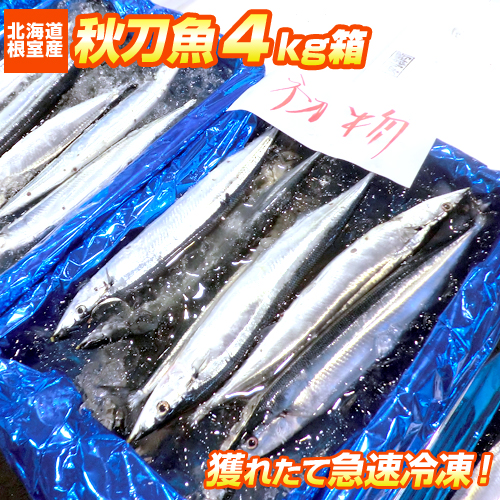 【北海道直送】新鮮サンマ 4kg 20尾前後 秋刀魚 生冷凍