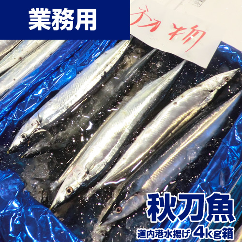 【業務用】新鮮サンマ 4kg 30尾前後 生冷凍