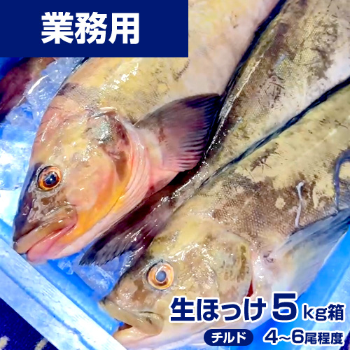 【鮮魚】生ホッケ 5kg4-6尾