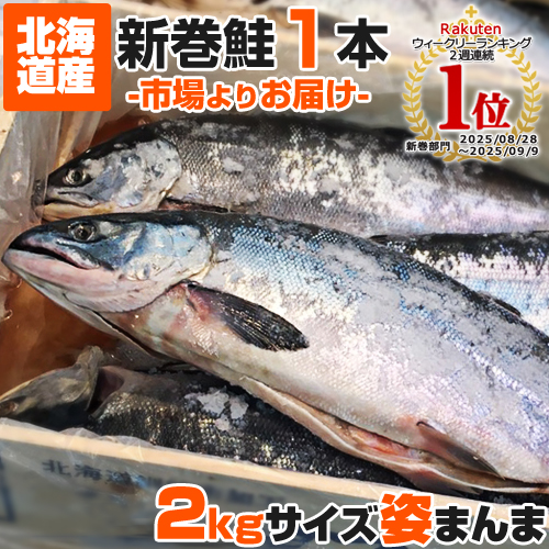 【業務用】新巻鮭 1尾 2kg前後