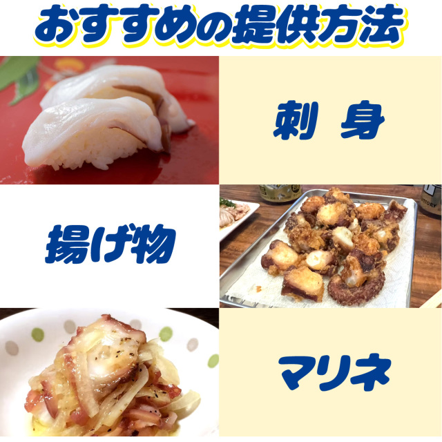 業務用】ボイルタコ足 (小) 10kg ｜1kg￥2800
