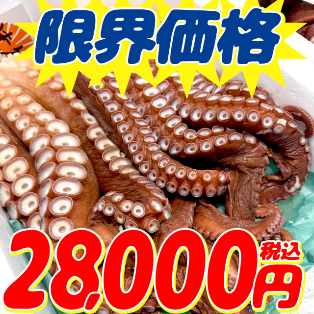 業務用】ボイルタコ足 (小) 10kg ｜1kg￥2800