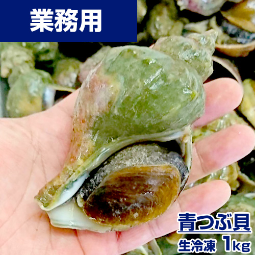 【業務用】生冷凍 青つぶ貝 1kg10個前後