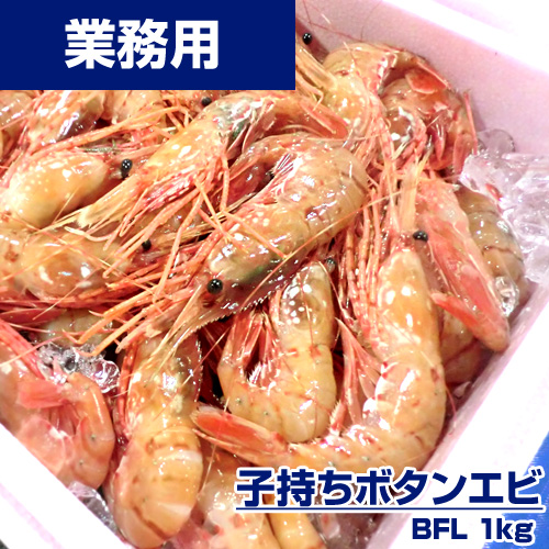 【業務用】ボタンエビ 1kg