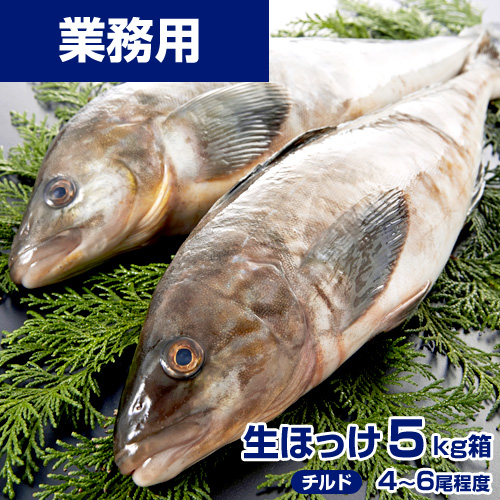 【業務用】生ホッケ 5kg4-6尾 (れいぞう発送)