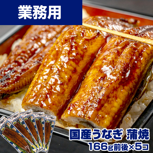 【特選】国産うなぎ蒲焼き 5枚セット