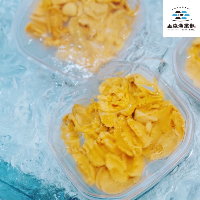 訳あり 塩水うに (白) 4個セット (100g×4) 北海道 積丹半島産 【山森漁業部】2026年度 ムラサキウニ