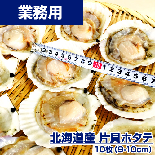 【業務用】片貝ホタテ 10枚 (9-10cm) ｜1枚￥150