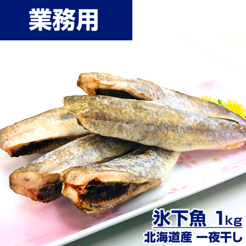 【業務用】氷下魚(コマイ) 一夜干し 1kg
