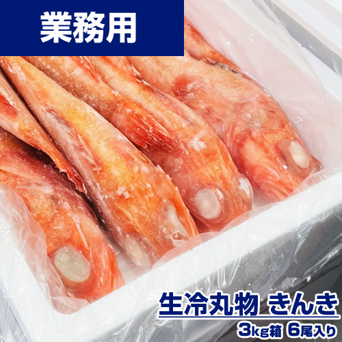 【業務用】生冷丸物 きんき 3kg6尾 ｜1尾￥3000