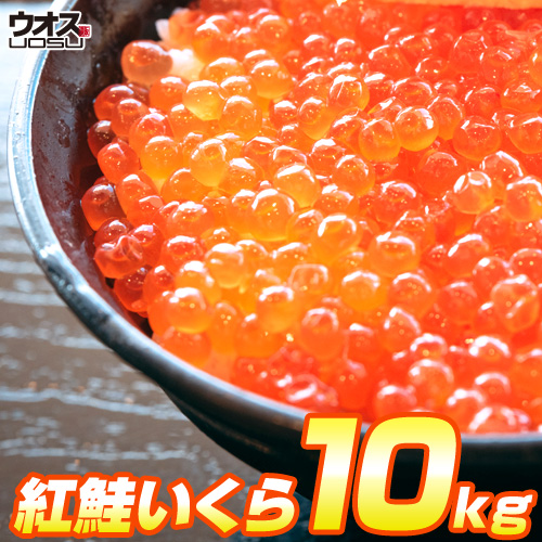 紅鮭いくら醤油漬け 10kg